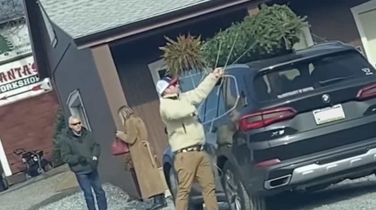 attaching tree to roof of car hilarity