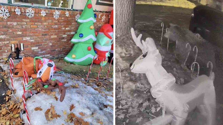 Security Camera Reveals Who Attacked Man’s Beloved Inflatable Reindeer