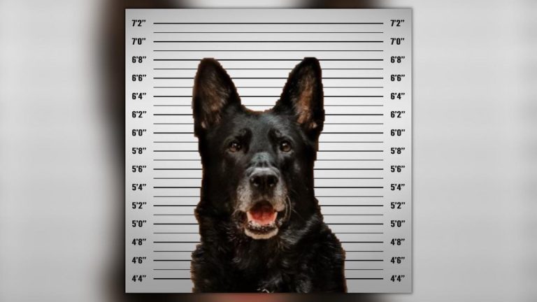 Officer Ice Wyandotte Police Department - Michigan