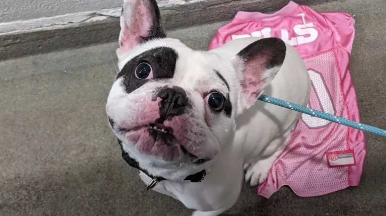 Ralphie the "demon dog"