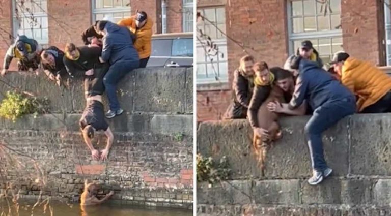 Students Band Together To Rescue Woman’s Dog Stuck In Manchester Canal