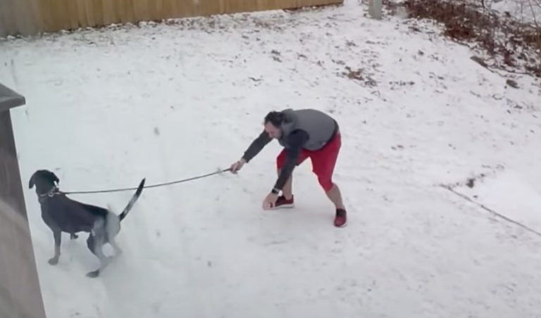 Man Hilariously Struggles To Escape Slippery Yard While Fetching Dog