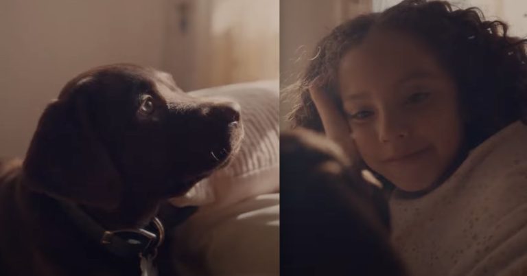 The Farmer’s Dog Unlocks Heartfelt Message For Pet Lovers In Touching Ad