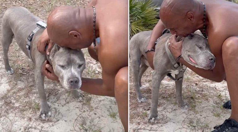 Man In Tears When He Reunites With Dog He Gave Up 10 Years Earlier