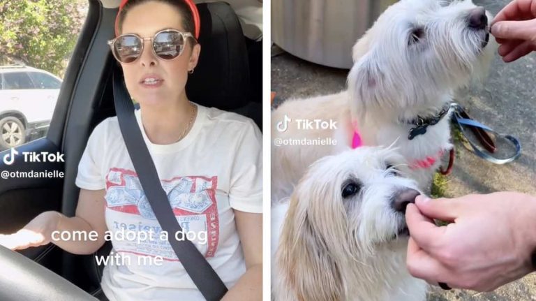 Charlie gets adopted