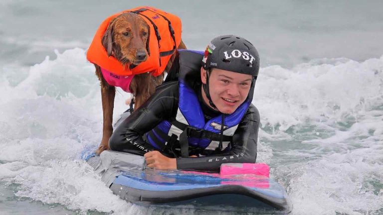 Beloved Therapy Dog Surf Dog Ricochet Leaves Behind A Lasting Legacy Of Love