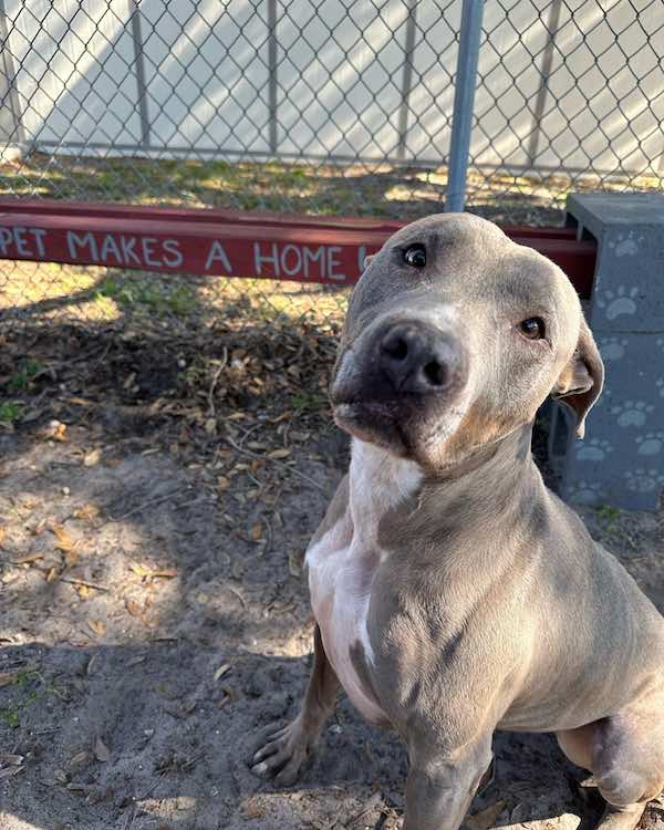 sophie adopted after a year wait