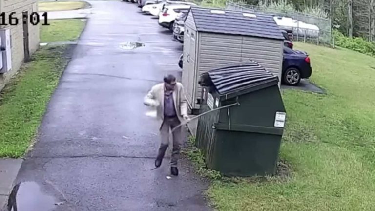 principal finds bear in dumpster