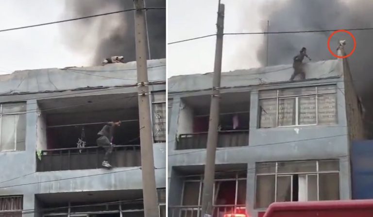 young man rescues dogs from fire in Peru