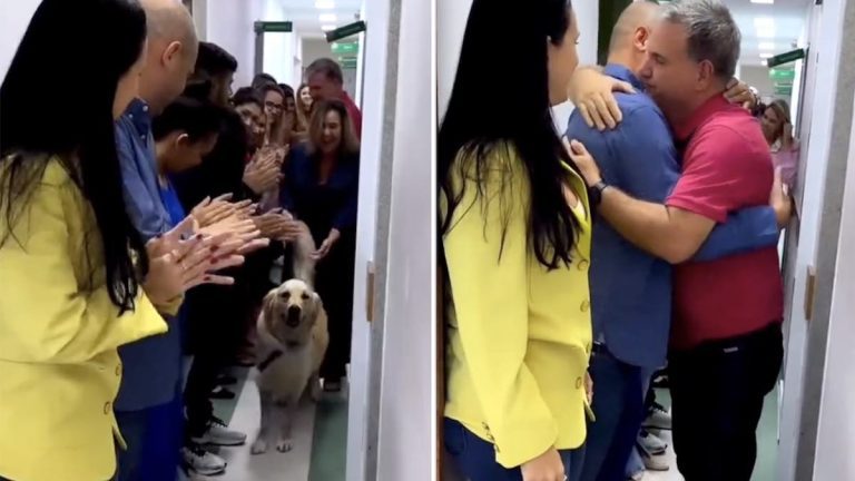 recovering dog get's heartwarming send-off