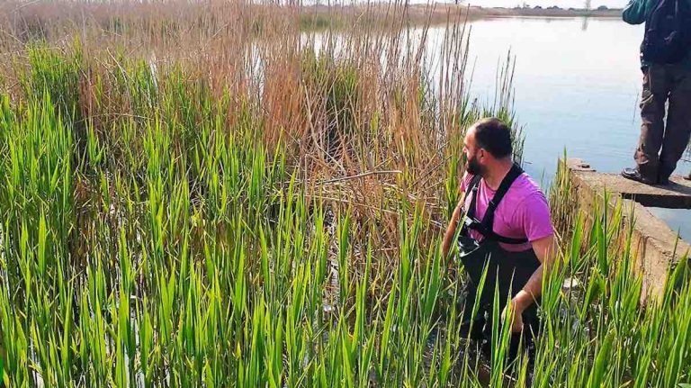man rescues heron tangled up