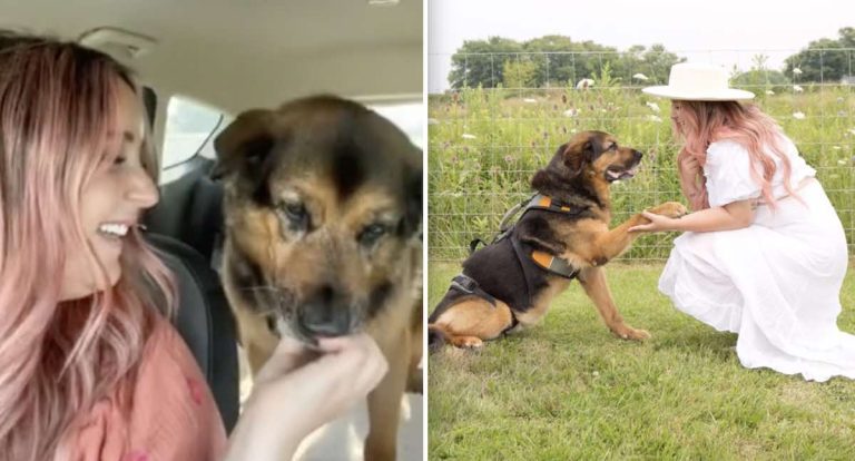 Leroy the dog adopted