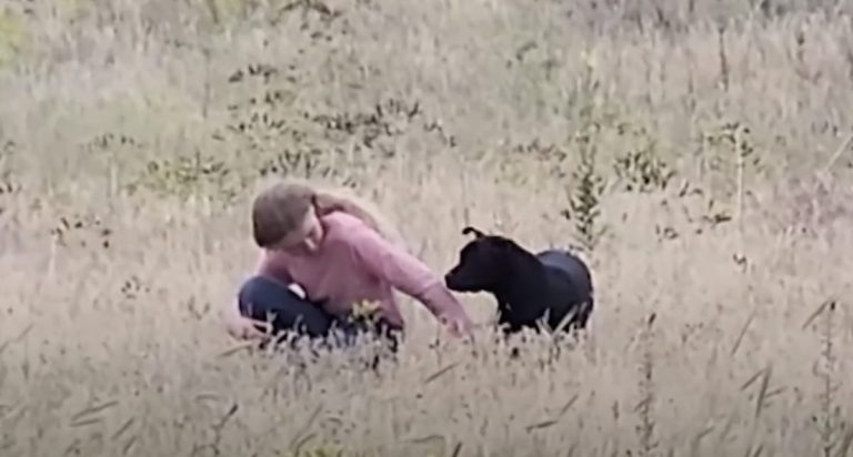 Young ‘Dog Whisperer’ Comes To The Rescue Again in Touching Deja Vu Moment