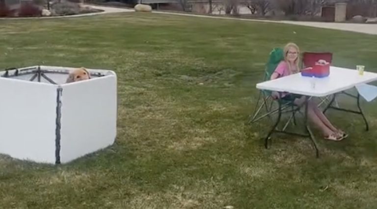 girl's petting zoo with dog