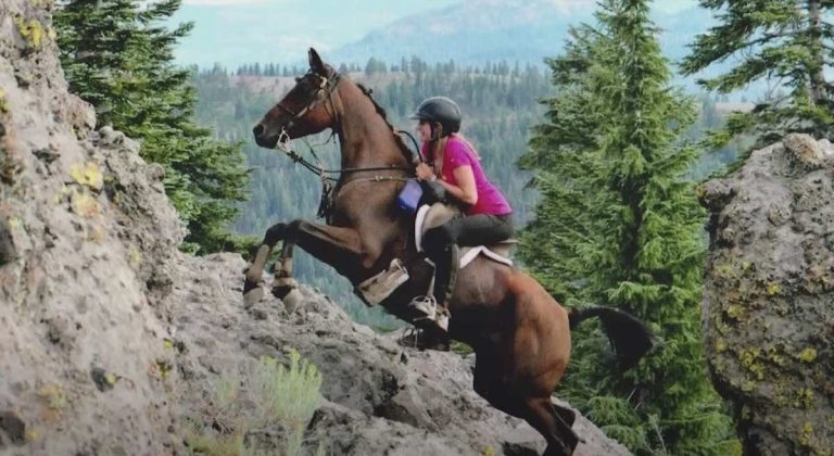 Sanoma Blakeley and Goober in Tevis Cup
