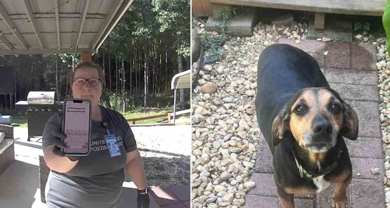 mail carrier saves dog bitten by snake