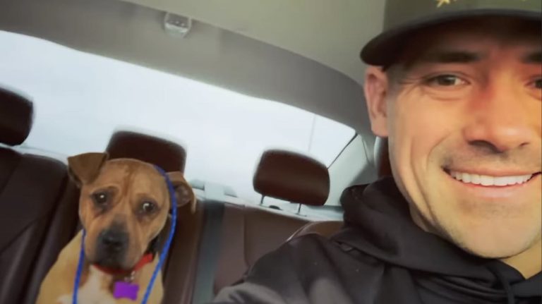 Cop Rescues Malnourished Pit Bull Tied Up in Freezing Temperatures