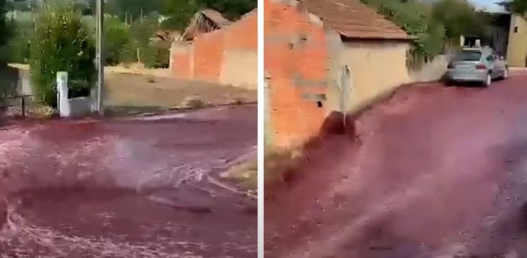 Streets Run Red With Wine In Portuguese Town After Storage Vats Burst