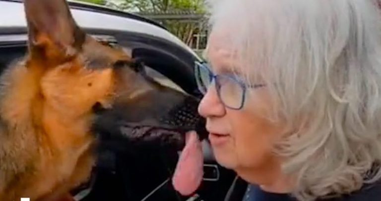 Pal the dog with grandma