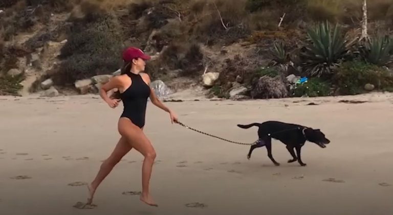 Shelter Dog Who Spent Years Running In Circles Now Has The Perfect Home