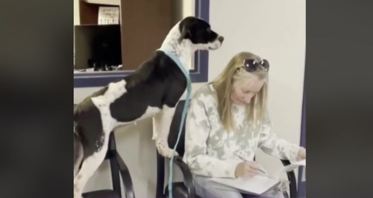luna adopted
