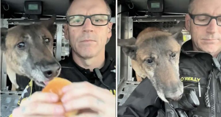 Radar the k9 eats snacks
