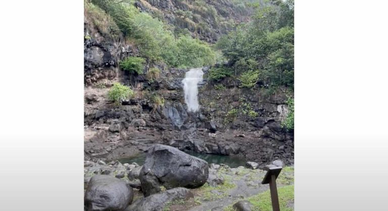 Waimea Valley Waterfall Springs To Life After Being Dry For Two Months