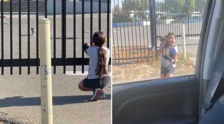 girl finds her lost cat