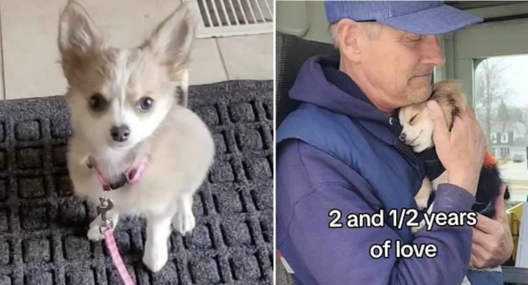 Small pup Frannie and her mailman