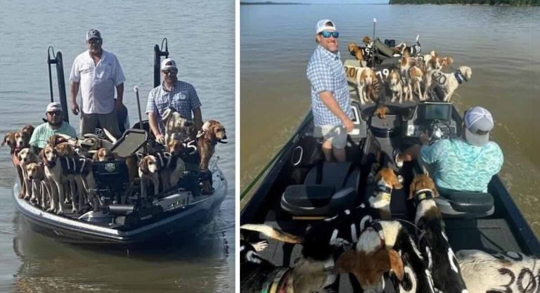 fishermen save 38 dogs from drowning
