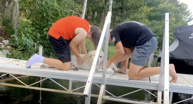 boys save drowning dog