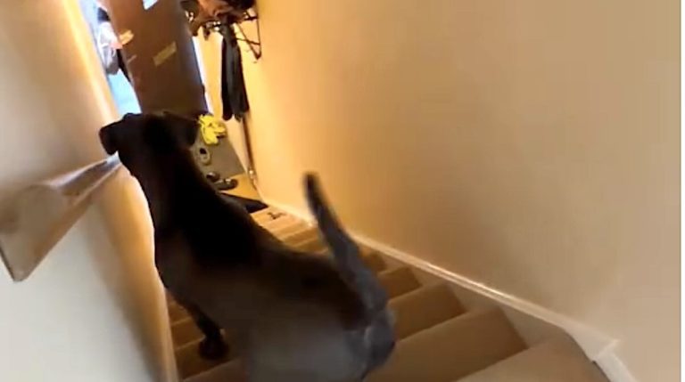 grandma at the door