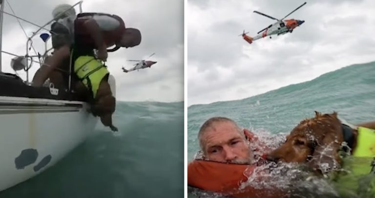 man and dog rescued from hurricane