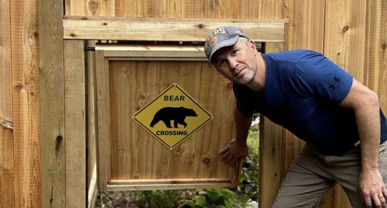 man builds bear doggy door