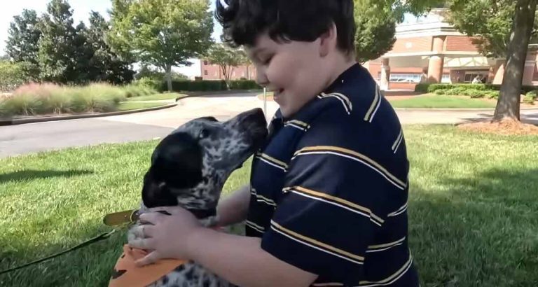 Tucker the dog saves his best friend