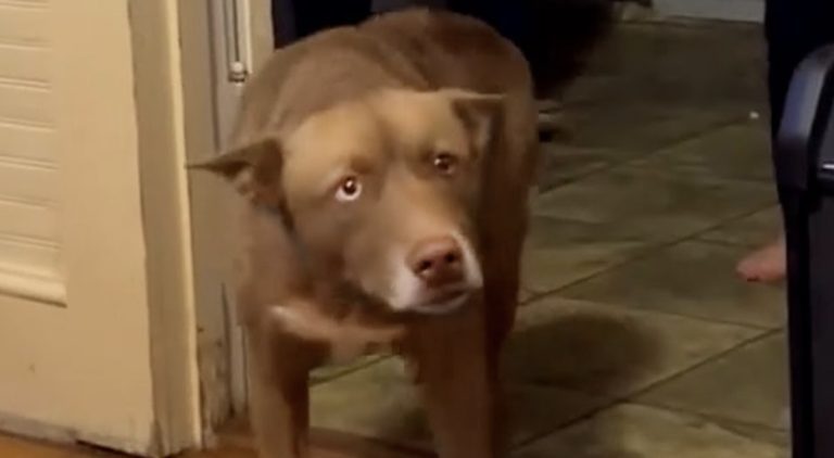 Oakley returns to her family