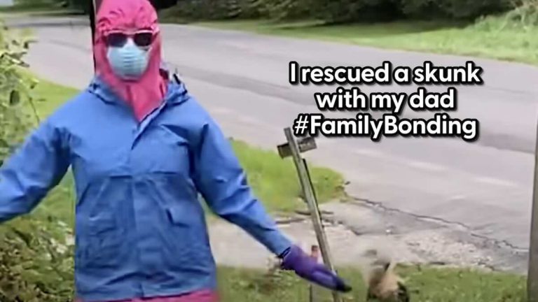 woman rescues skunk