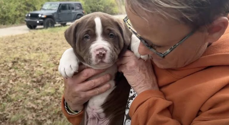 Puppies saved from freezing cold.