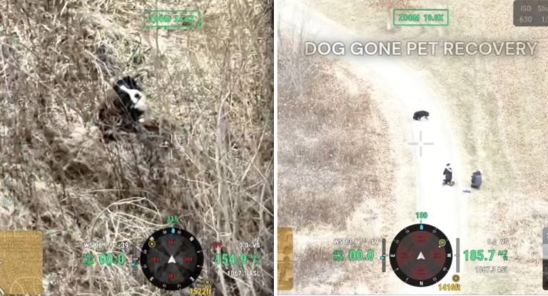Dog Gone Pet Recovery