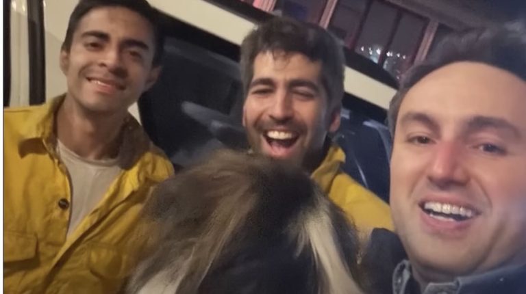 Three dogs rescued by news reporters in California wildfires