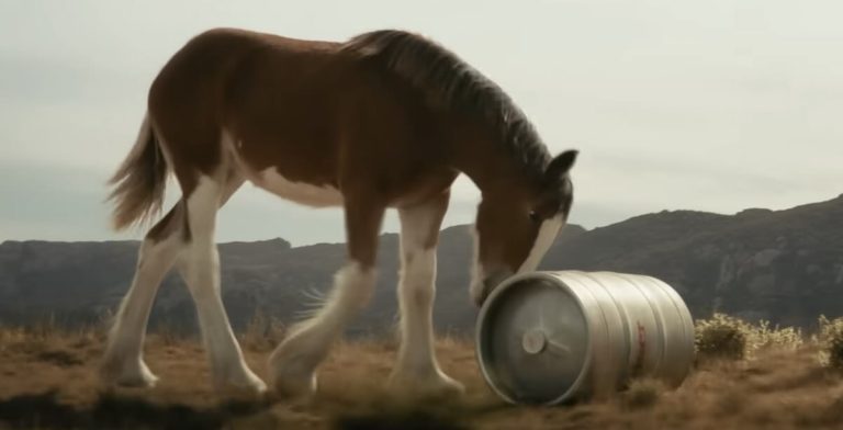 Budweiser Super Bowl ad 2025