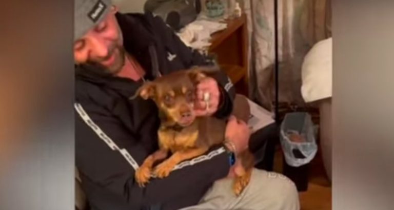 Man and Missing Miniature Pinscher Share Emotional Reunion After 8 Years Apart