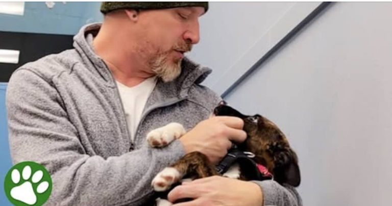 husband meets puppy