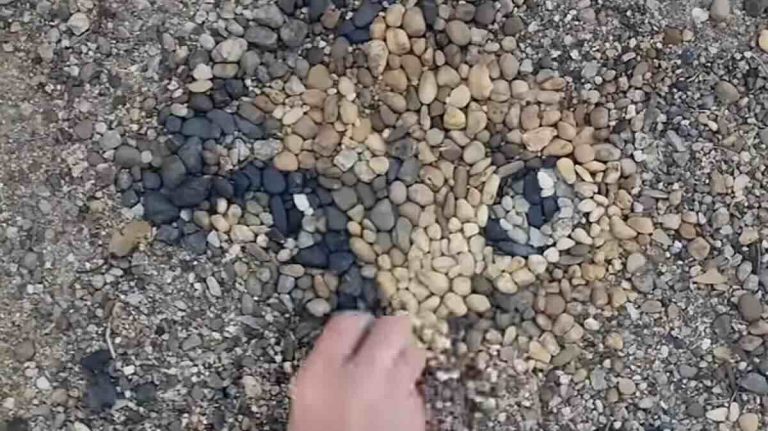 artist makes cat out of pebbles