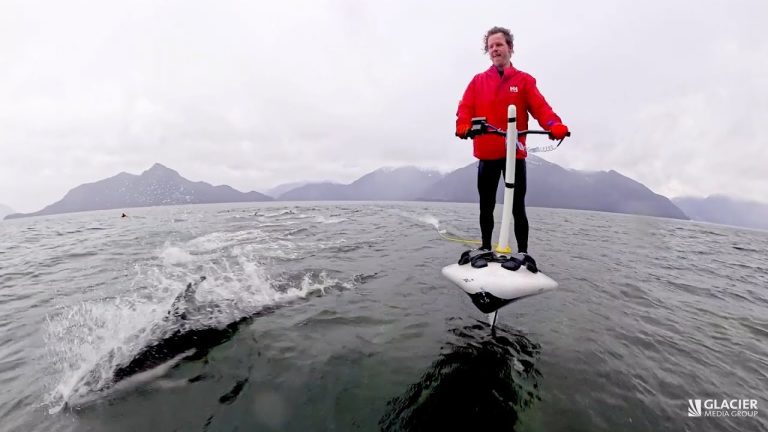 Man Out Filming His Invention Surprised By A Hundred Playful Dolphins
