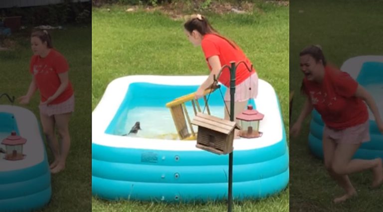 Girl’s Squirrel Rescue Mission Takes A Hilarious Turn