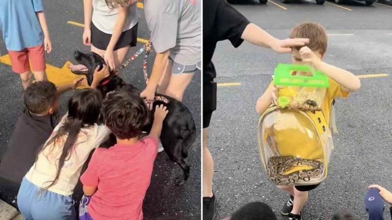Elementary school pet parade
