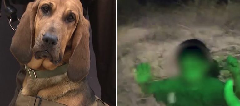 K-9 Bloodhound Finds Missing Boy In Arizona Desert With Help From His Socks