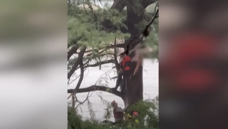 woman rescued from Texas floods