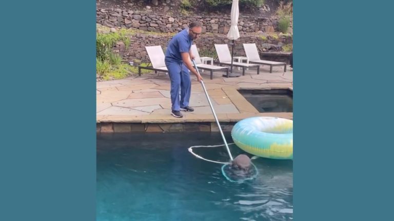 Doctor At Home Saves Little Life From Drowning In Pool
